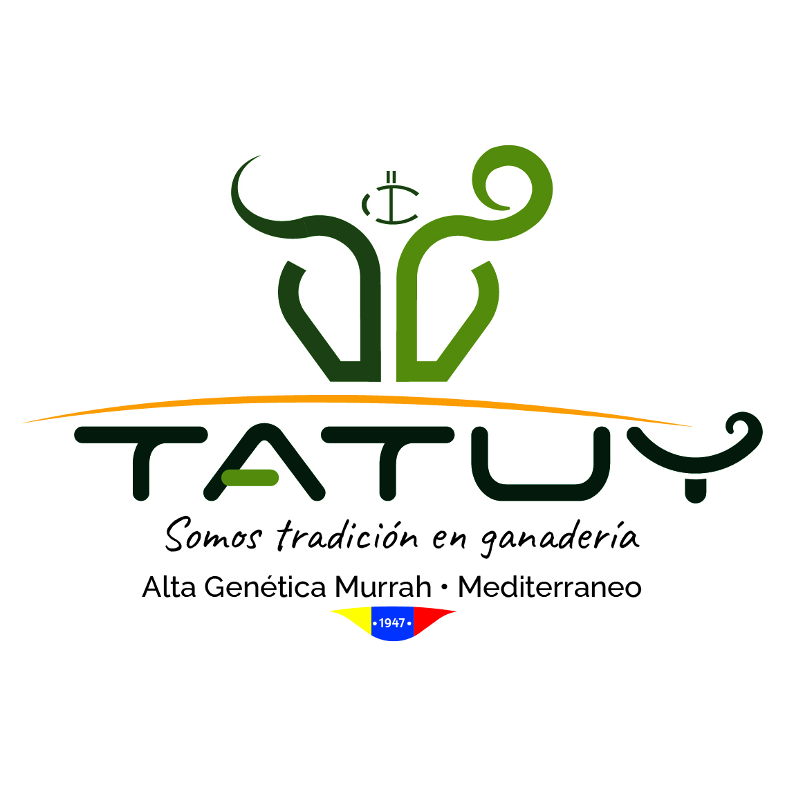 C.A. TATUY