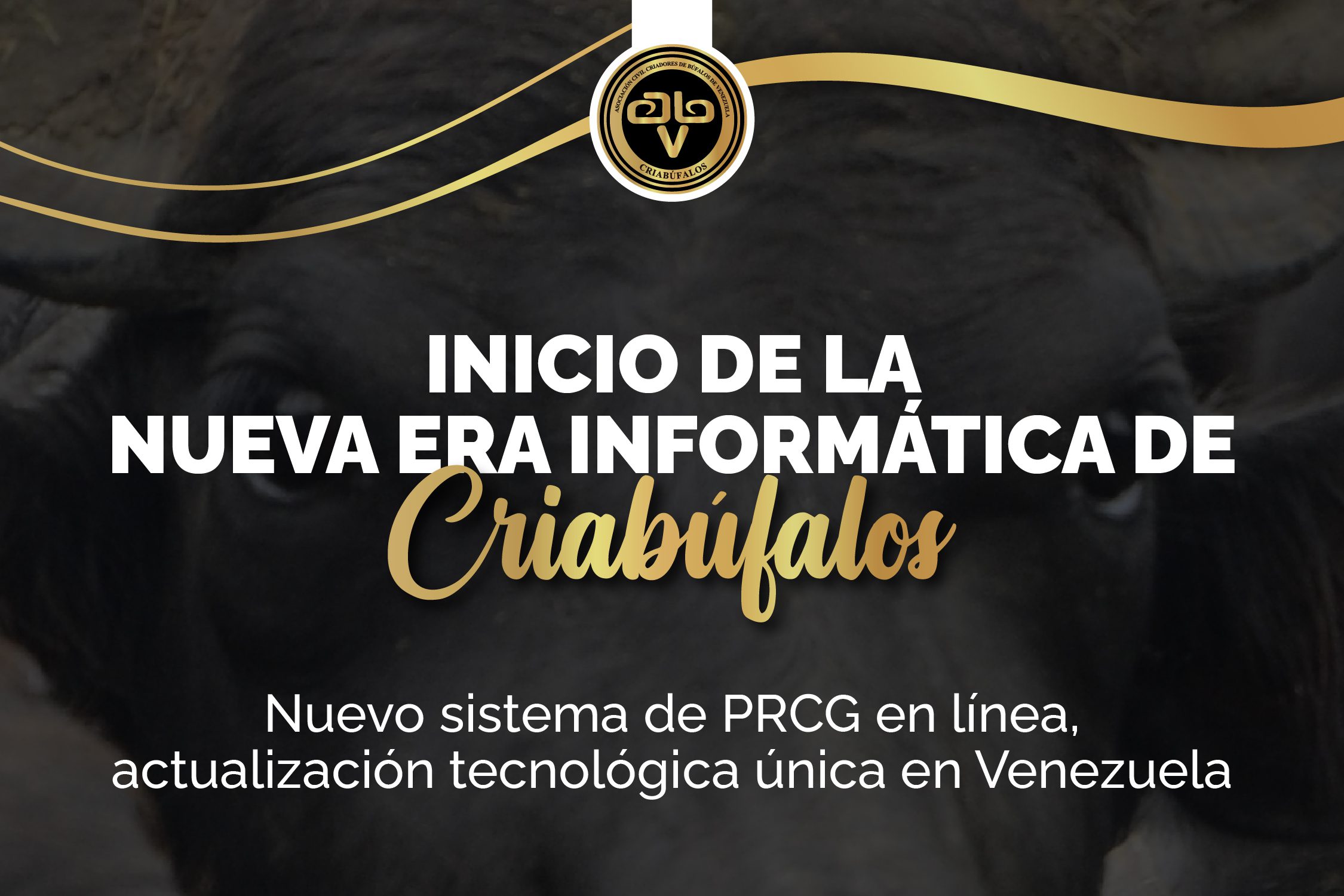 BANNER WEB CONVERSATORIO-03