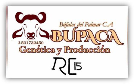 Bufalos del Palmar, C.A. BUPACA