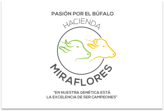 Jesús Rincón Viloria e Hijos, S.A.